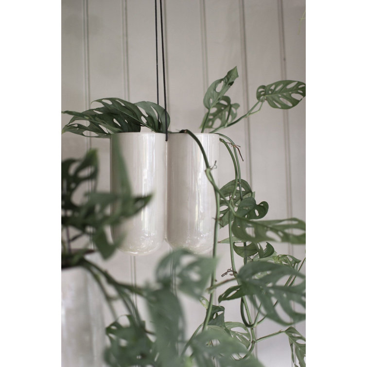 DBKD More Hanging Planter | Wayfair